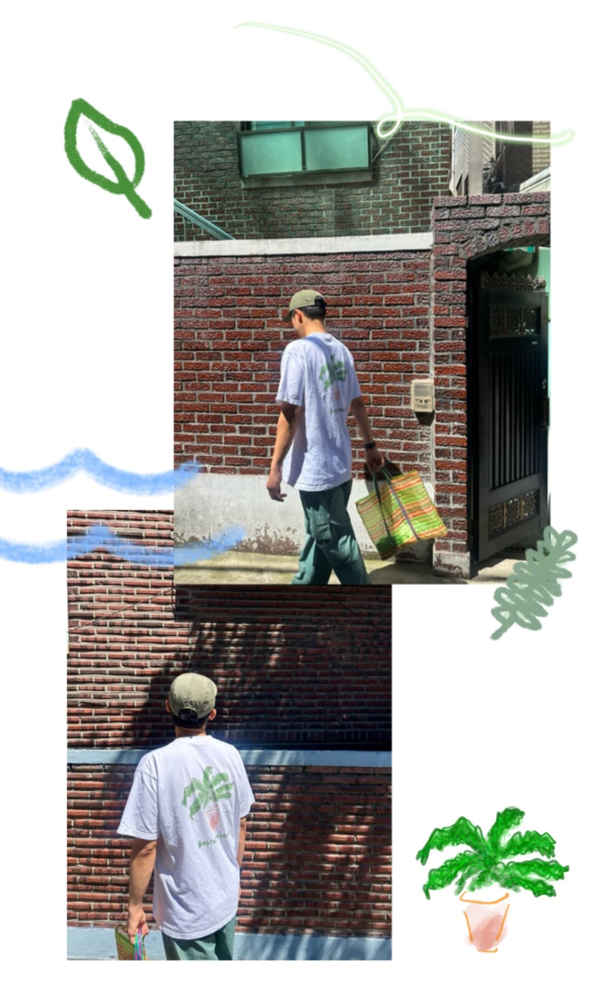 고사리 티셔츠 사진 4